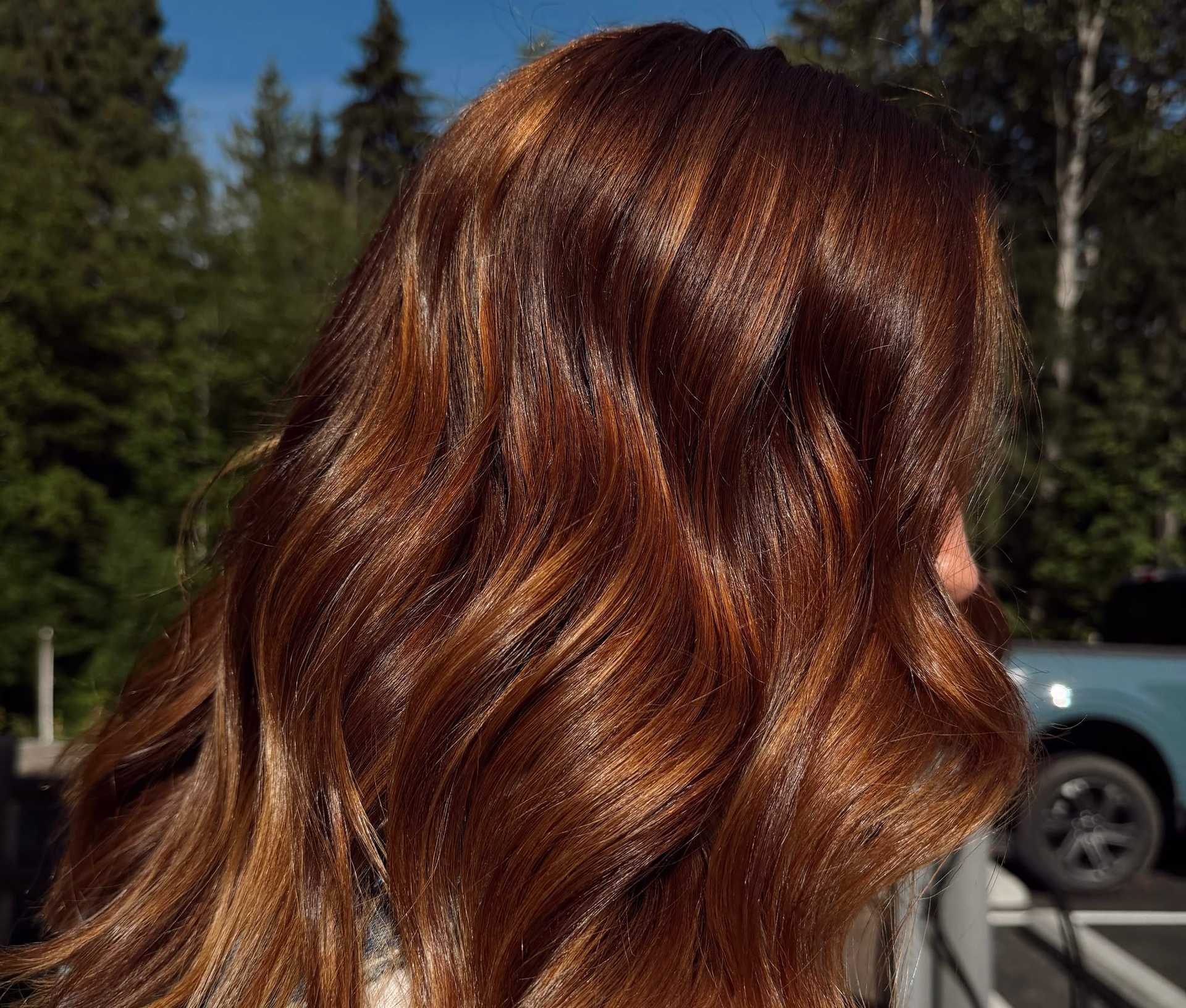 Wavy auburn hair shining in sunlight with a forest background.